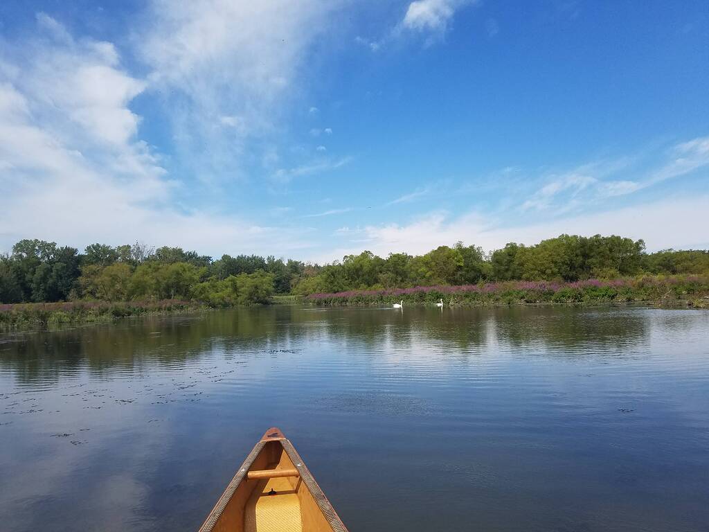 had an almost perfect paddle today - Paddlers' Place - Paddling.com