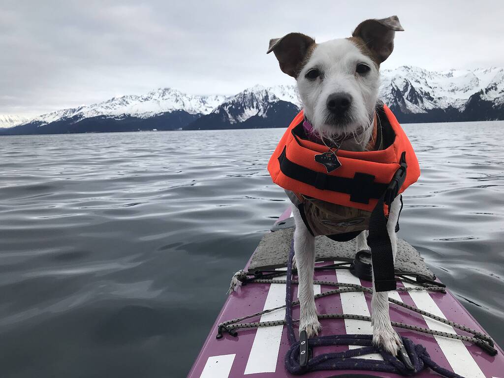 Early Spring - Paddlers' Place - Paddling.com