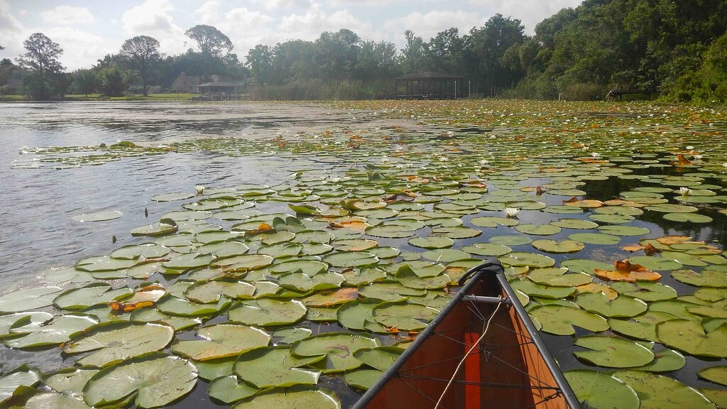 Observations on paddling in the wind - Paddlers' Place - Paddling.com