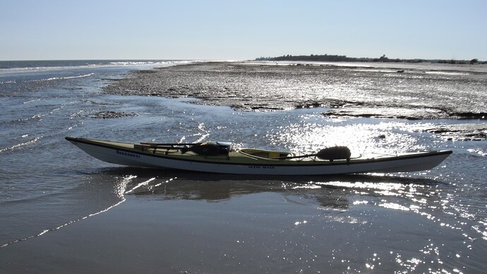 Bull Island 1-6-2012 044