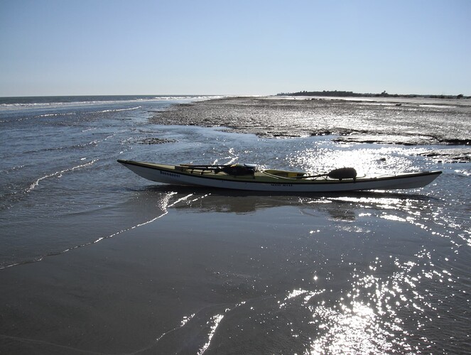 Bull Island 1-6-2012 044