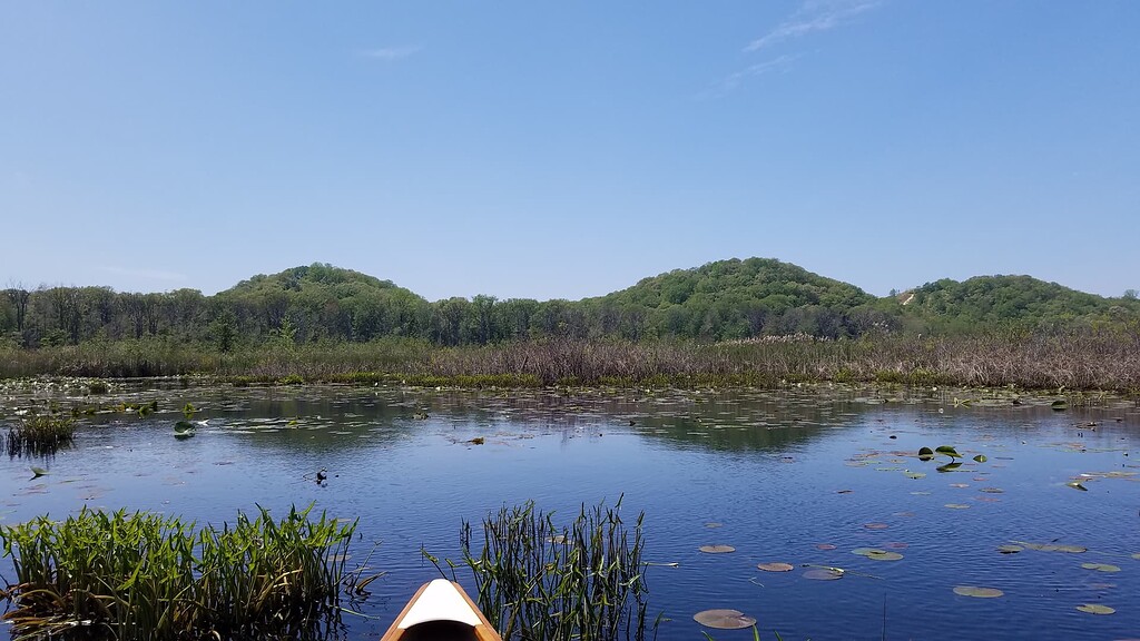 Turtles Making Out - Paddlers' Place - Paddling.com