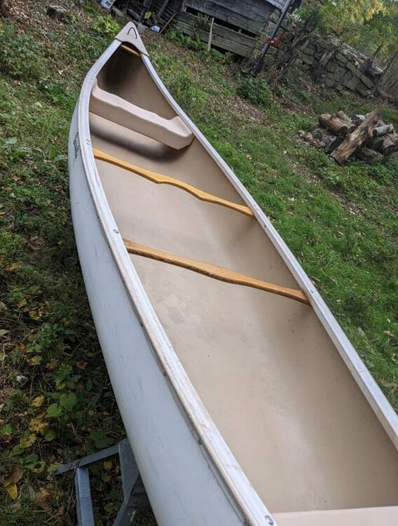 What is this gazelle canoe made of? Royalex? Advice