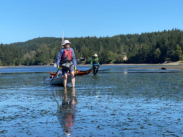 low-tide-dunsmuir