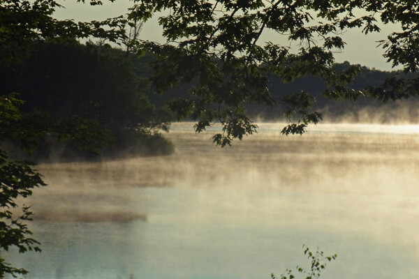 lake fog